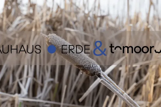 Bauhaus Erde und toMOORow vereinen Kräfte für den Schutz der Moore