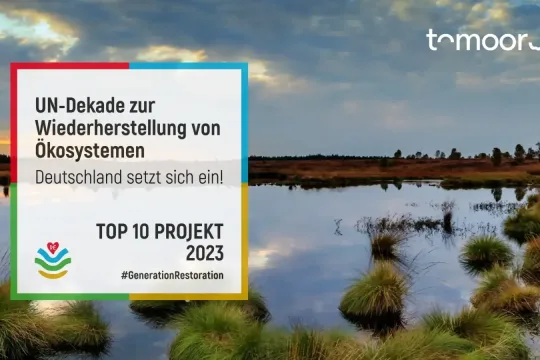 toMOORow unter Top-10 der UN-Dekade zur Wiederherstellung von Ökosystemen