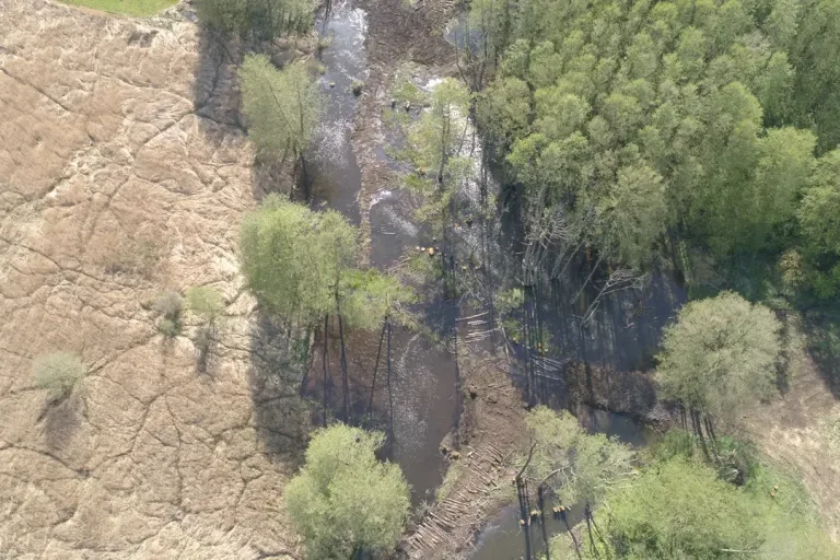 Luftbild von Moorlandschaft in der der Sernitz